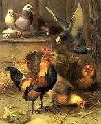 unknow artist Poultry 099 China oil painting reproduction